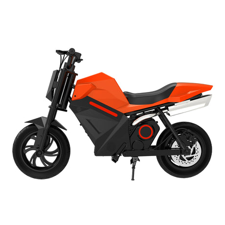 PAONAGO ADV250 250W Kids Electric Motorcycle 16KM/H Ride-On Toy