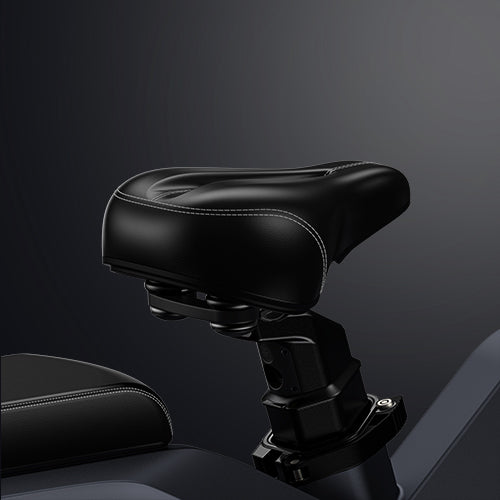 ENGWE X20 Electric Bike 750W 150KM Range Dual Battery Suspension 20*4.0"