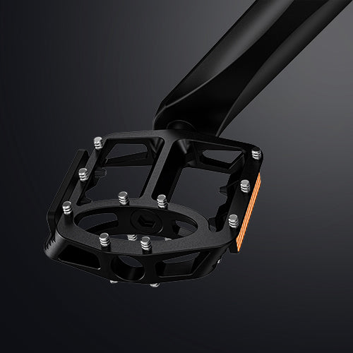 ENGWE X20 Electric Bike 750W 150KM Range Dual Battery Suspension 20*4.0"