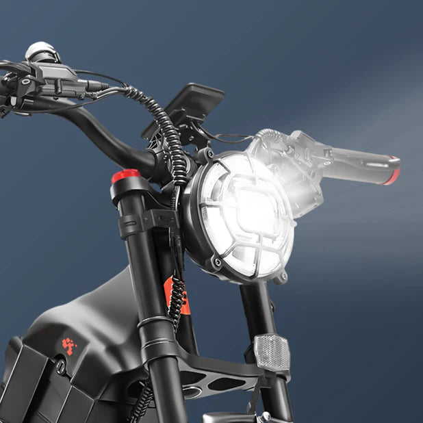 Eahora Romeo Pro 1200W Electric Bike 150KM+ Range 120Nm Torque Fat Tires