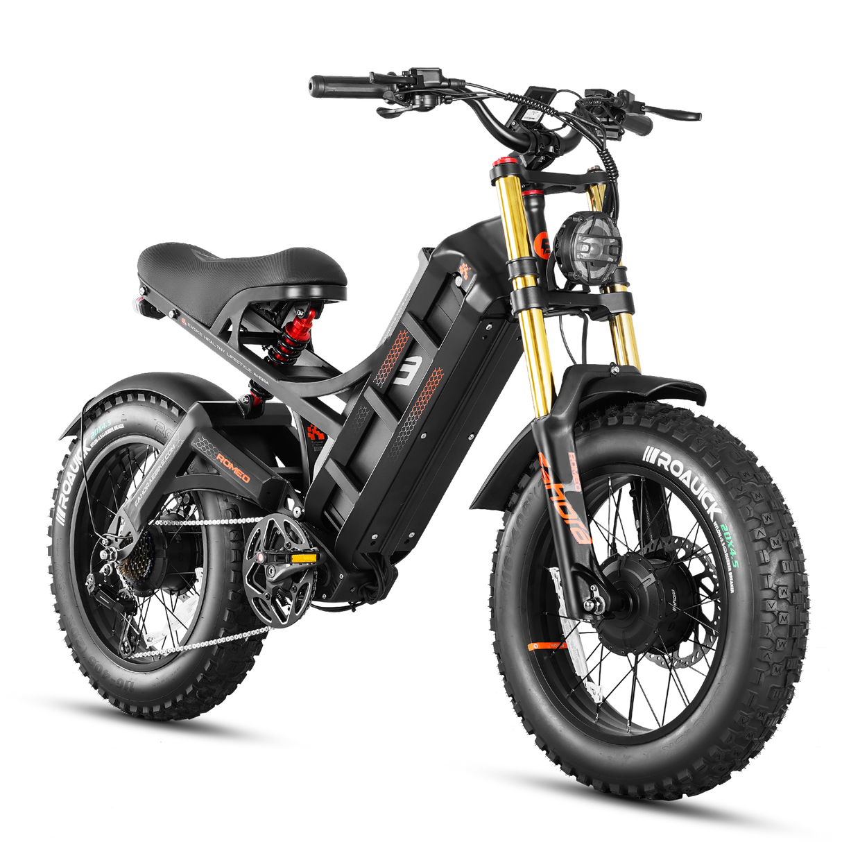 Eahora Romeo II Electric Bike 1250W*2 Dual Motor 120KM+ Range 200Nm Torque