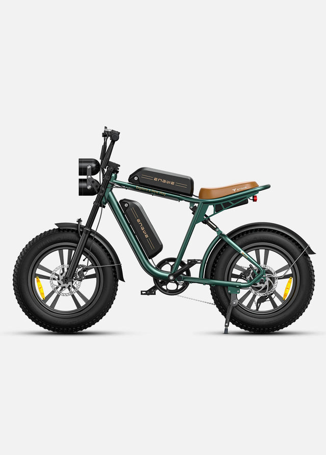 ENGWE M20 Bicicletta Elettrica ENGWE