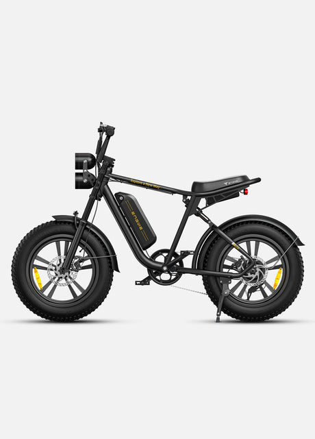 ENGWE M20 Bicicletta Elettrica ENGWE