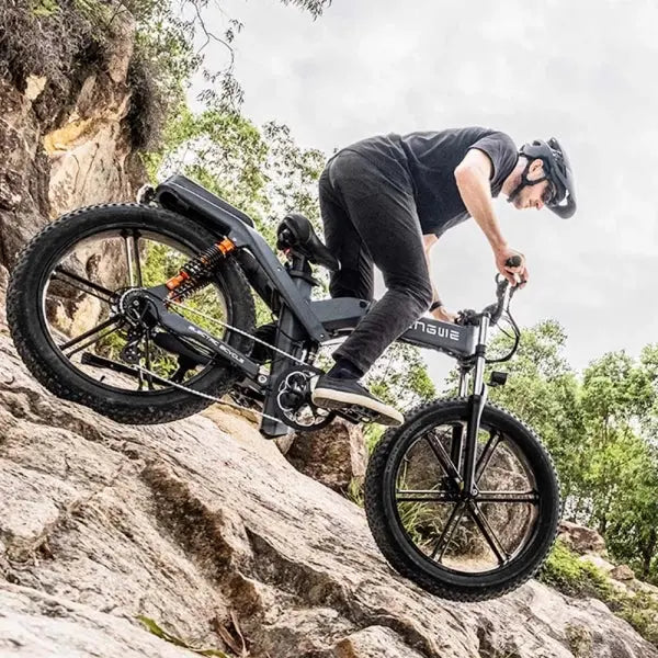ENGWE X26 Bicicletta Elettrica