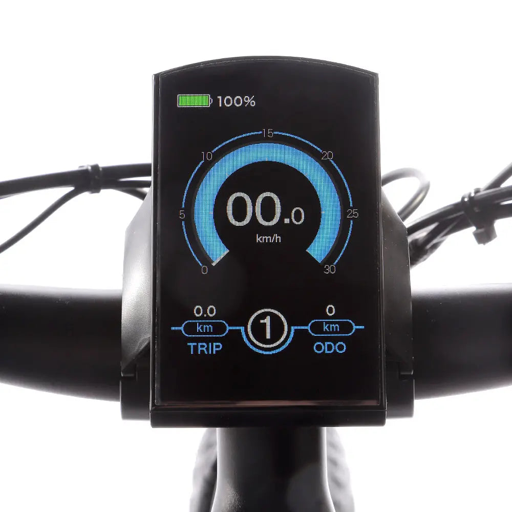 JOBOBIKE Robin Bicicletta Elettrica JOBOBIKE