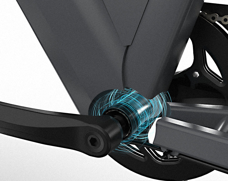 JOBOBIKE Astra Electric Bike