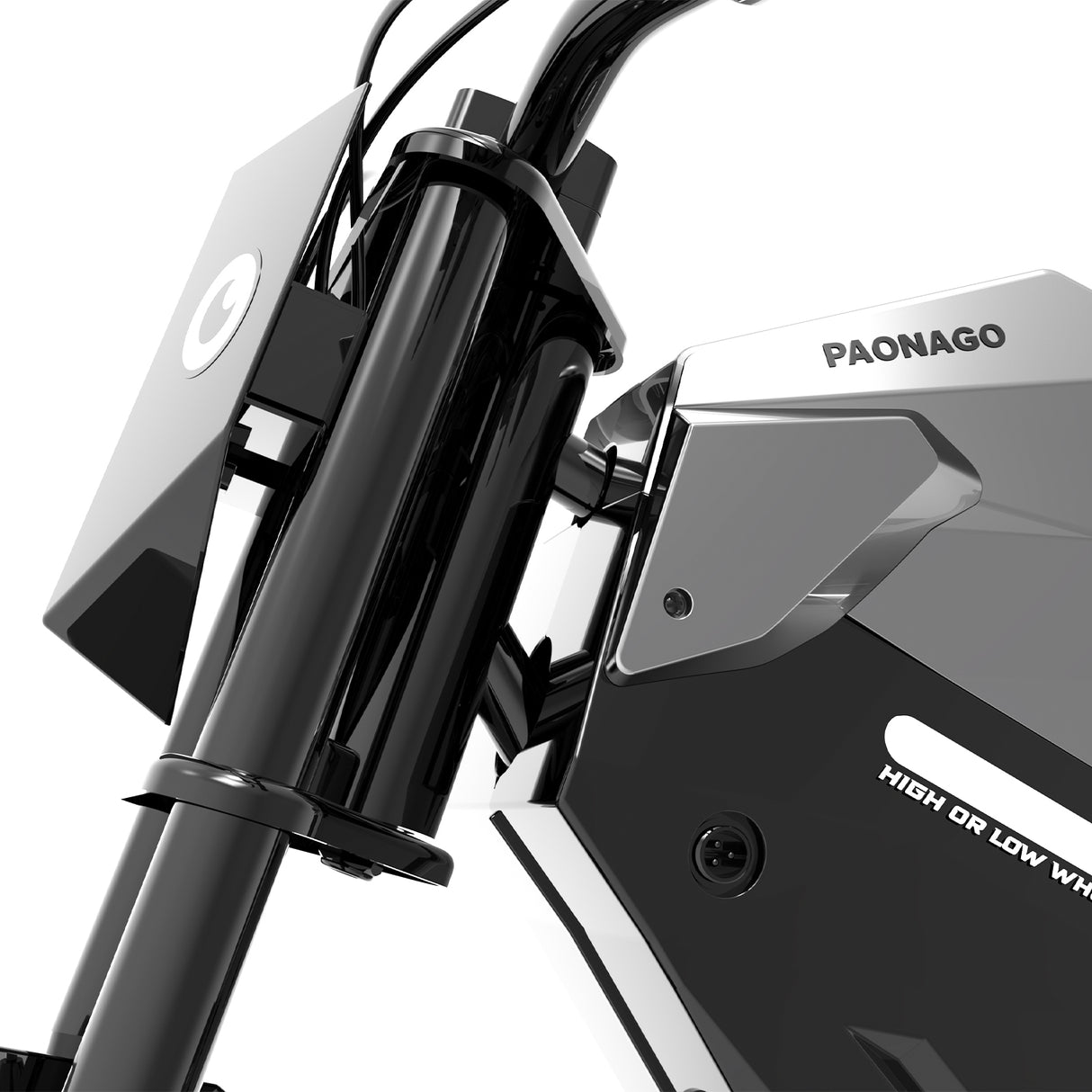PAONAGO ADV250 Electric Motorcycle for Kids