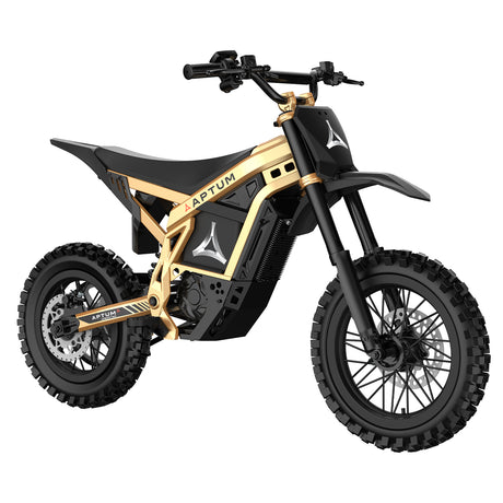 APTUM 2C Youth Electric Motorcycle
