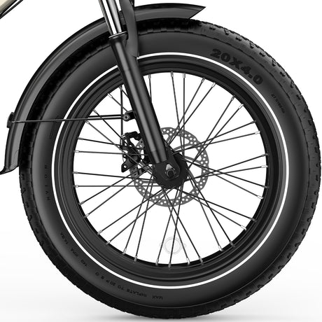 OVIVO C1 MAX DUAL BATTERY Electric Bike