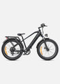 ENGWE E26 Bicicletta Elettrica ENGWE