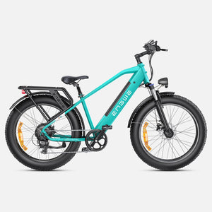 ENGWE E26 Electric Bike