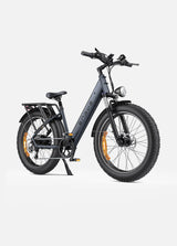 ENGWE E26 Bicicletta Elettrica ENGWE