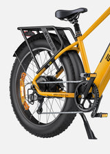 ENGWE E26 Bicicletta Elettrica ENGWE