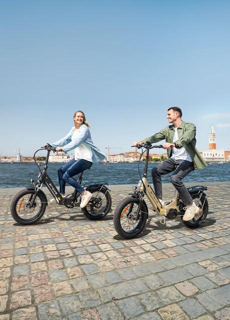 ENGWE L20 3.0 Pro Bicicletta Elettrica(I preordini iniziano il 10 agosto)