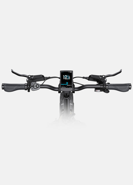 ENGWE L20 3.0 Pro Bicicletta Elettrica(I preordini iniziano il 10 agosto)