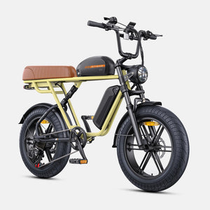 ENGWE M1 Electric Bike