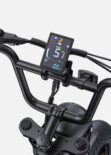 ENGWE M1 Bicicletta Elettrica ENGWE