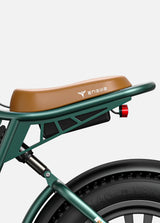 ENGWE M20 Bicicletta Elettrica ENGWE