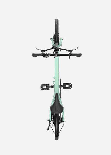 ENGWE P20 Bicicletta Elettrica