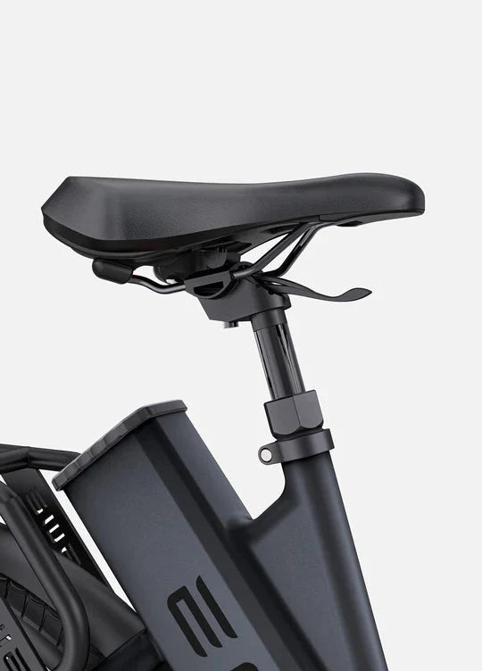 ENGWE P275 ST Bicicletta Elettrica