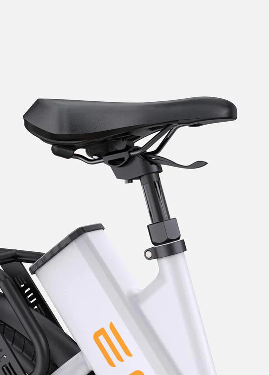 ENGWE P275 ST Bicicletta Elettrica