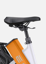 ENGWE P275 ST Bicicletta Elettrica