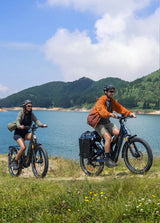 ENGWE Zip 250W leichtes Falt-E-Bike mit Drehmomentsensor