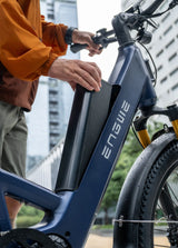ENGWE Zip 250W leichtes Falt-E-Bike mit Drehmomentsensor