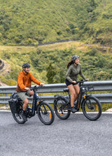 ENGWE Zip 250W leichtes Falt-E-Bike mit Drehmomentsensor