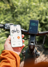 ENGWE Zip 250W leichtes Falt-E-Bike mit Drehmomentsensor
