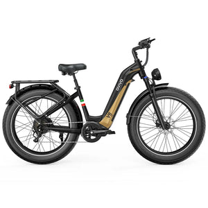 OVIVO V6 Pro Electric Bike