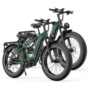 OVIVO V6 Pro Combo Electric Bike