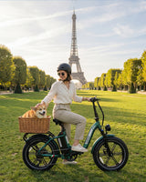 OVIVO C2 Pro Faltbares Elektrofahrrad, 250 W, 120 km Reichweite, 48 V 18 Ah Akku, 20 x 4,0" Fatbike-Reifen