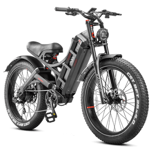 Eahora Romeo Pro Electric Bike