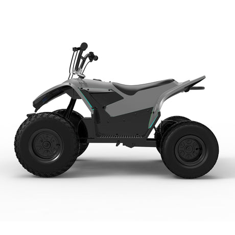 PAONAGO TC-DQ500 500W Kinder-Elektromotorrad 13KM/H Vierrad-Fahrzeug