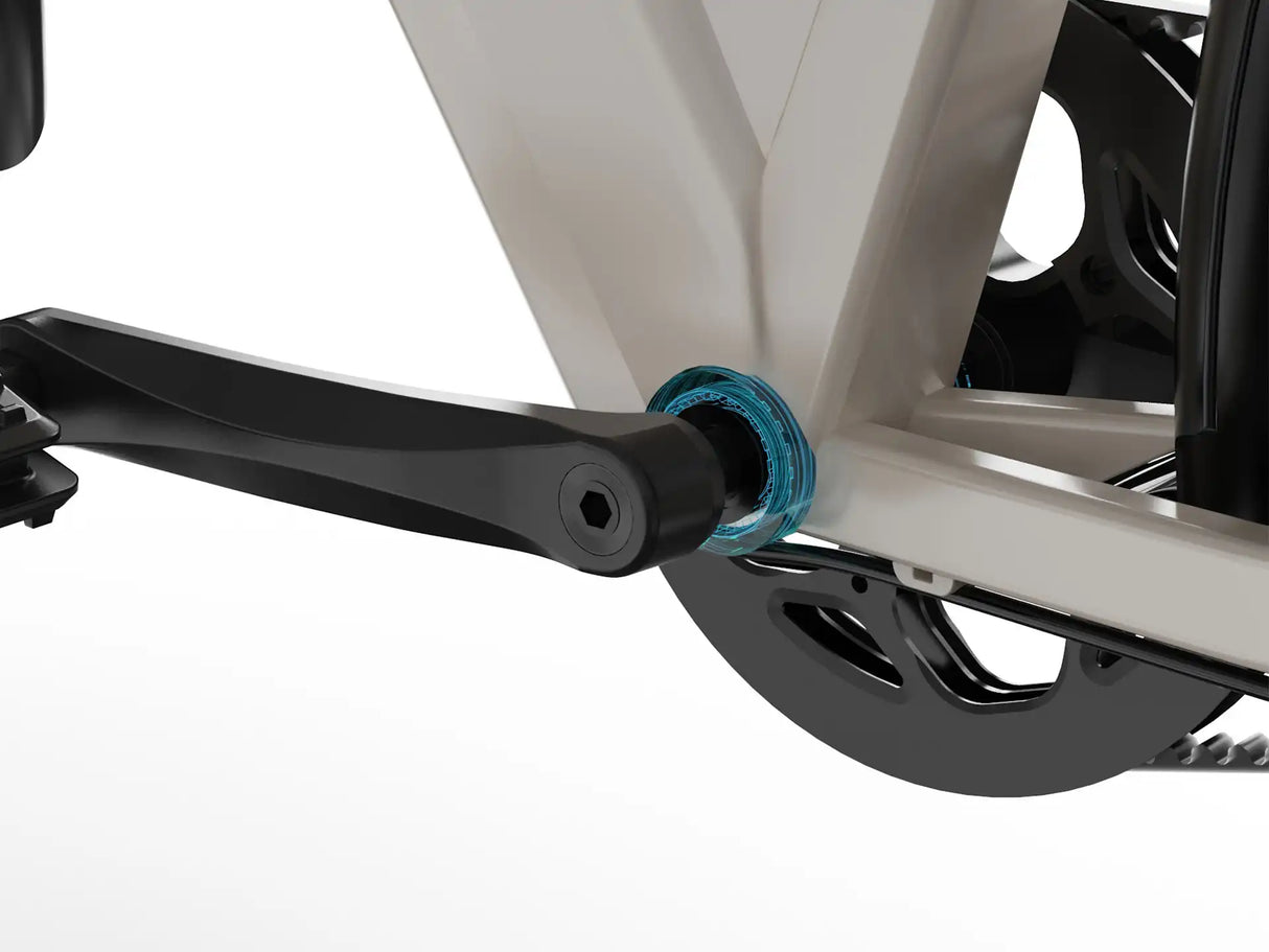 JOBOBIKE Dyno GT Carbon Belt Electric Bike